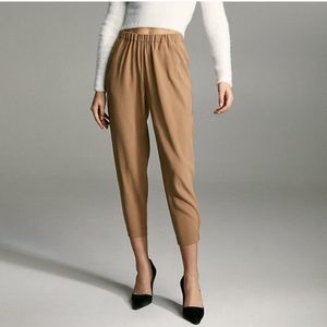 Aritzia Babaton Dexter Pant